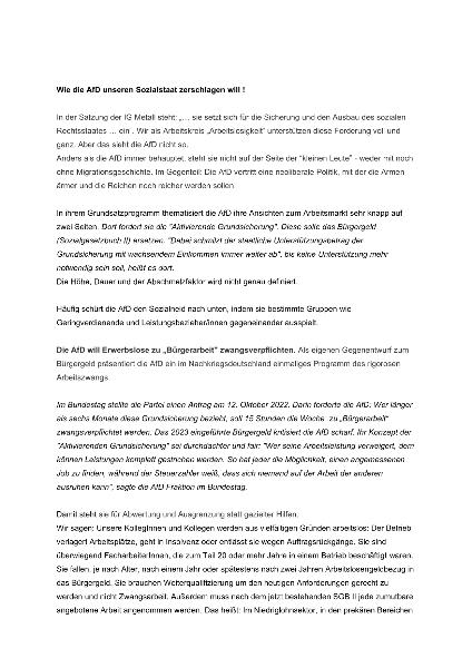 AfD will den Sozialstaat zerschlagen